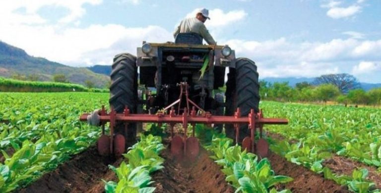 Empresas De Producci N Primaria Entre Los Sectores M S Desfavorecidos